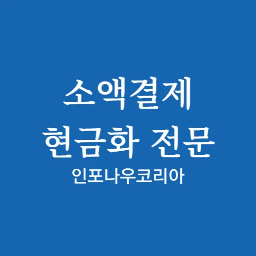 소액결제 전문 인포나우코리아